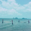 สมาชิกหมายเลข 3170965