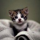 สมาชิกหมายเลข 3190754