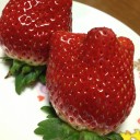 สมาชิกหมายเลข 740192