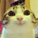 สมาชิกหมายเลข 1978148