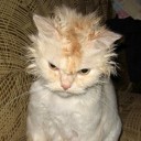 สมาชิกหมายเลข 740758