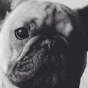 สมาชิกหมายเลข 1978622