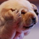 สมาชิกหมายเลข 1978820