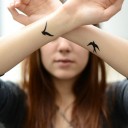 สมาชิกหมายเลข 1891196