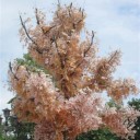 สมาชิกหมายเลข 741074