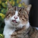 สมาชิกหมายเลข 1016344