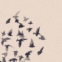 สมาชิกหมายเลข 1978942