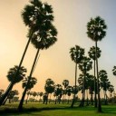 สมาชิกหมายเลข 1488591