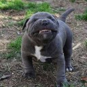 สมาชิกหมายเลข 3192093