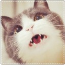 สมาชิกหมายเลข 1138277