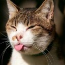 สมาชิกหมายเลข 1410965