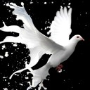 สมาชิกหมายเลข 1979340