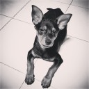 สมาชิกหมายเลข 929627