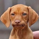 สมาชิกหมายเลข 1633307