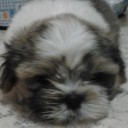 3โมแก๊งจอมป่วน