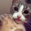 ขนมปังทาเนยโรยน้ำตาล