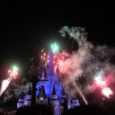 สมาชิกหมายเลข 790151