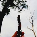 สมาชิกหมายเลข 1211354