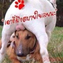 เย็นฉ่ำ สบายใจ