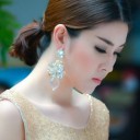 สมาชิกหมายเลข 1411108