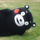 สมาชิกหมายเลข 1895452