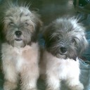 สมาชิกหมายเลข 712744