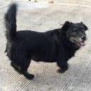 นักเขียน white cane