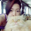 สมาชิกหมายเลข 3064480