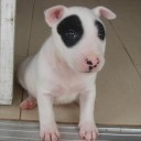 สมาชิกหมายเลข 742974