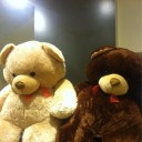 สมาชิกหมายเลข 1141081