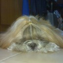 สมาชิกหมายเลข 2374903