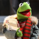 กบน้อยตัวเขียวผิวลื่น