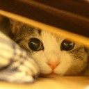 สมาชิกหมายเลข 1139809