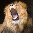 สมาชิกหมายเลข 1141398