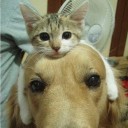 สมาชิกหมายเลข 1981483