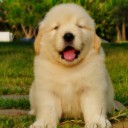 สมาชิกหมายเลข 2535923