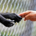 สมาชิกหมายเลข 2770461