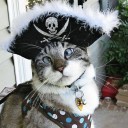 สมาชิกหมายเลข 1550769