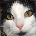 สมาชิกหมายเลข 1981707