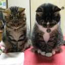 สิงสู่อยู่ตรงนี้