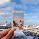 ทดลองเป็นแมวจี้