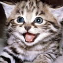 สมาชิกหมายเลข 1552176