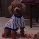 joeymydear