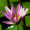 สมาชิกหมายเลข 745078