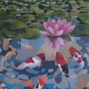 สมาชิกหมายเลข 1143556