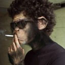 สมาชิกหมายเลข 1552562