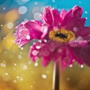 สมาชิกหมายเลข 1979248