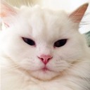 สมาชิกหมายเลข 1983359