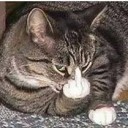 สมาชิกหมายเลข 2376929