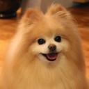 สมาชิกหมายเลข 2377088